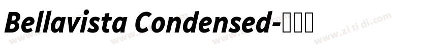 Bellavista Condensed字体转换